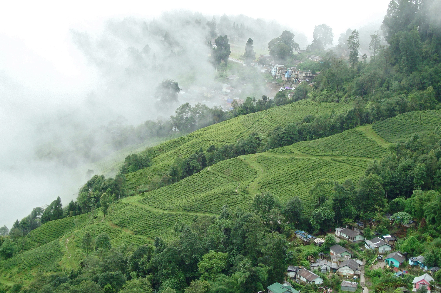 Explore Darjeeling — 2 nights, 3 days covering Bagdogra/NJP, Kurseong, Darjeeling, Tiger Hill, Ghoom Monastery, Batasia Loop, Himalayan Mountaineering Institute, Padmaja Naidu Himalayan Zoological Park, Tenzing Rock, Tibetan Refugee Self-Help Centre, Happy Valley Tea Estate, Japanese Peace Pagoda