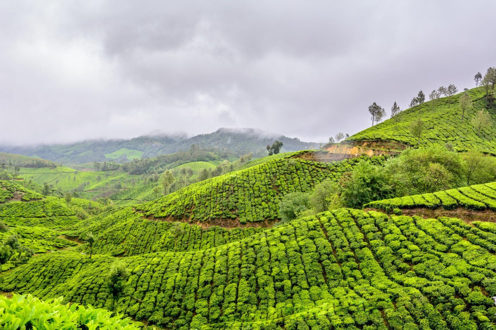 15 Best Places to Visit in Monsoon in India: Where Rain Makes Travel Magical