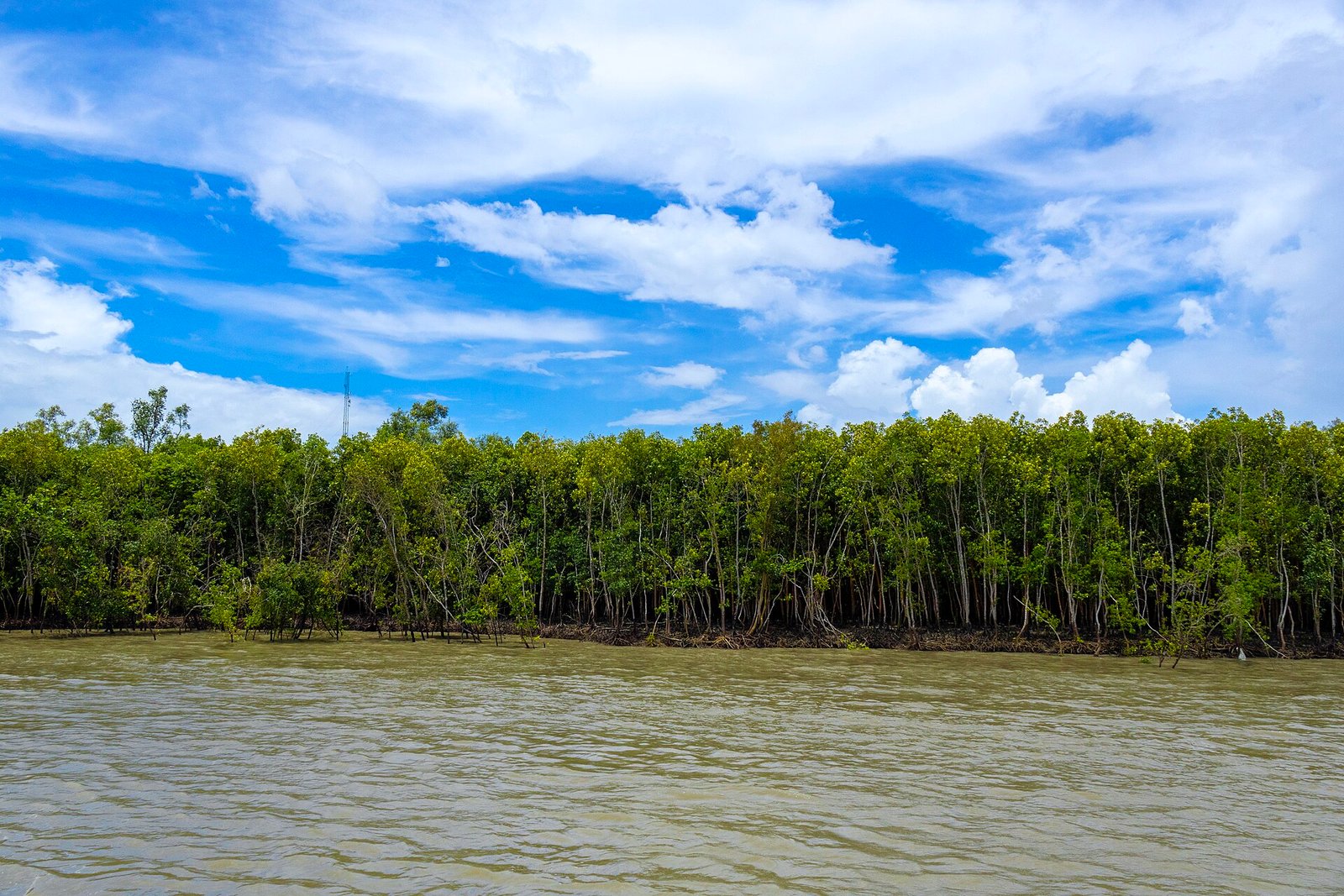 West Bengal landscape — browse 1 West Bengal holiday packages