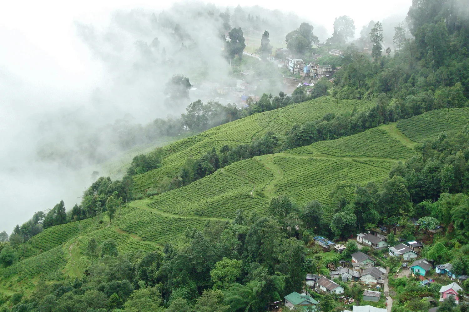 Explore Darjeeling — 2 nights, 3 days covering 2N North East